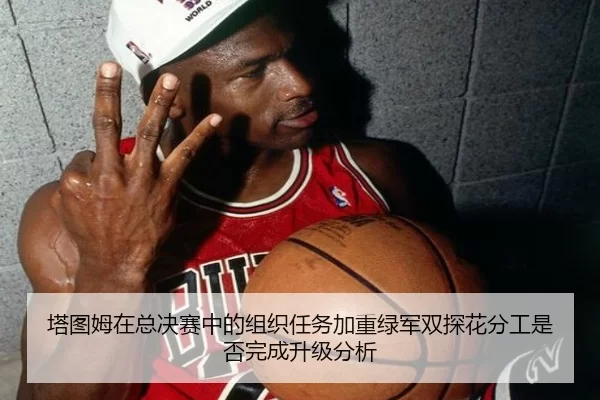 塔图姆在总决赛中的组织任务加重绿军双探花分工是否完成升级分析